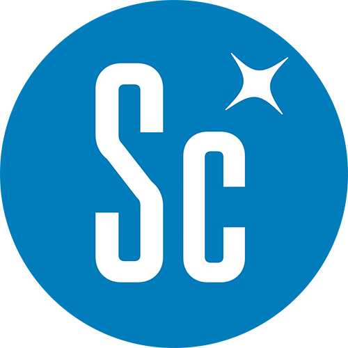 BlueCallom Scale